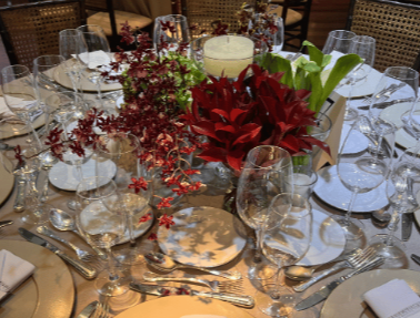 Raquel Barraca-4.png